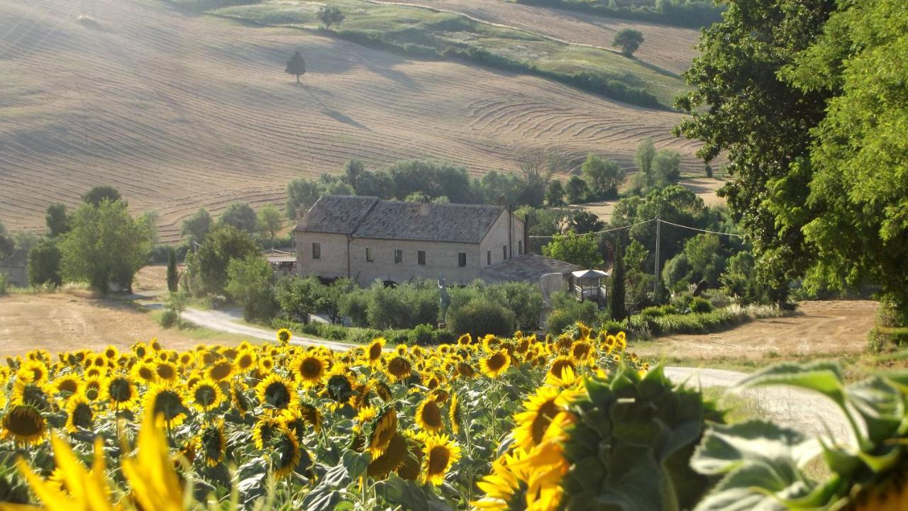 "La Casa Degli Ulivi Art B&B" Trecastelli Exteriör bild