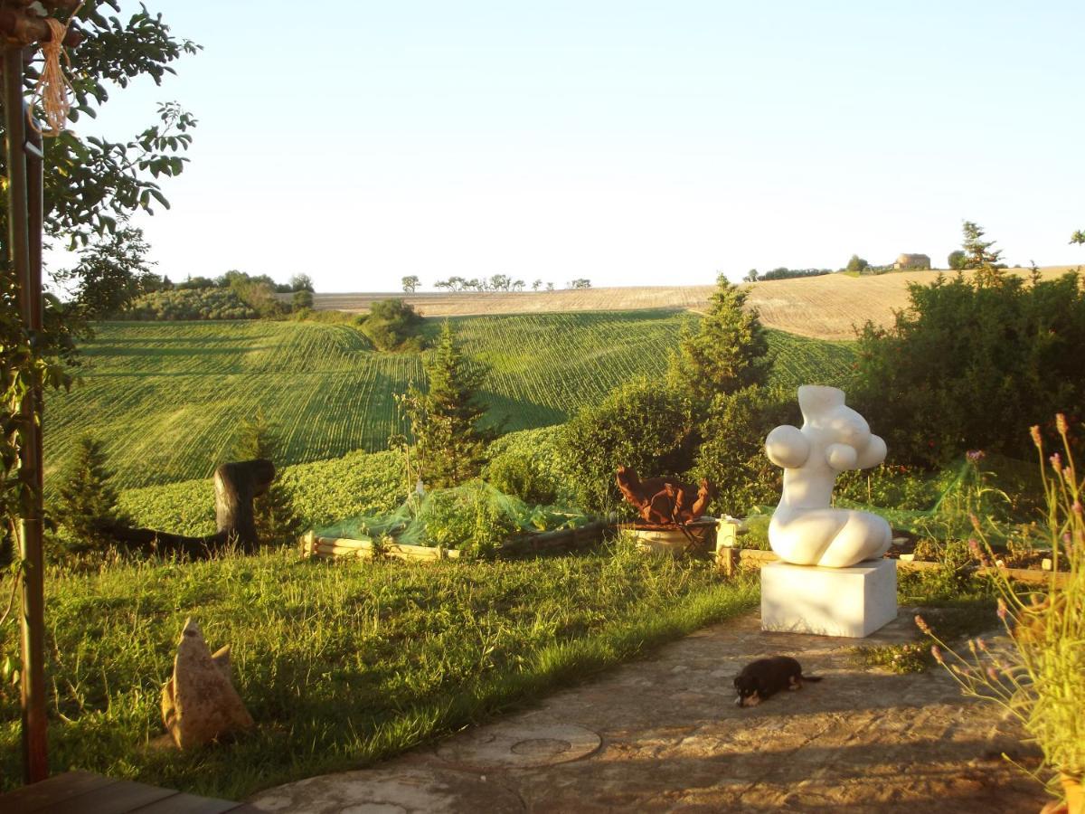 "La Casa Degli Ulivi Art B&B" Trecastelli Exteriör bild