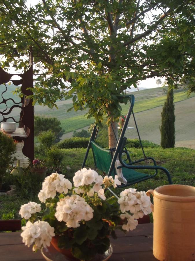 "La Casa Degli Ulivi Art B&B" Trecastelli Exteriör bild