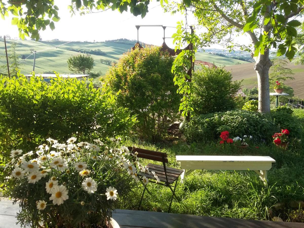 "La Casa Degli Ulivi Art B&B" Trecastelli Exteriör bild
