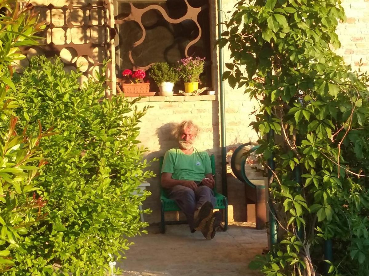 "La Casa Degli Ulivi Art B&B" Trecastelli Exteriör bild